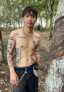 เน-สวนยาง-1